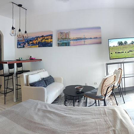 Estudio Centro Malaga Terraza Y Barbacoa المظهر الخارجي الصورة